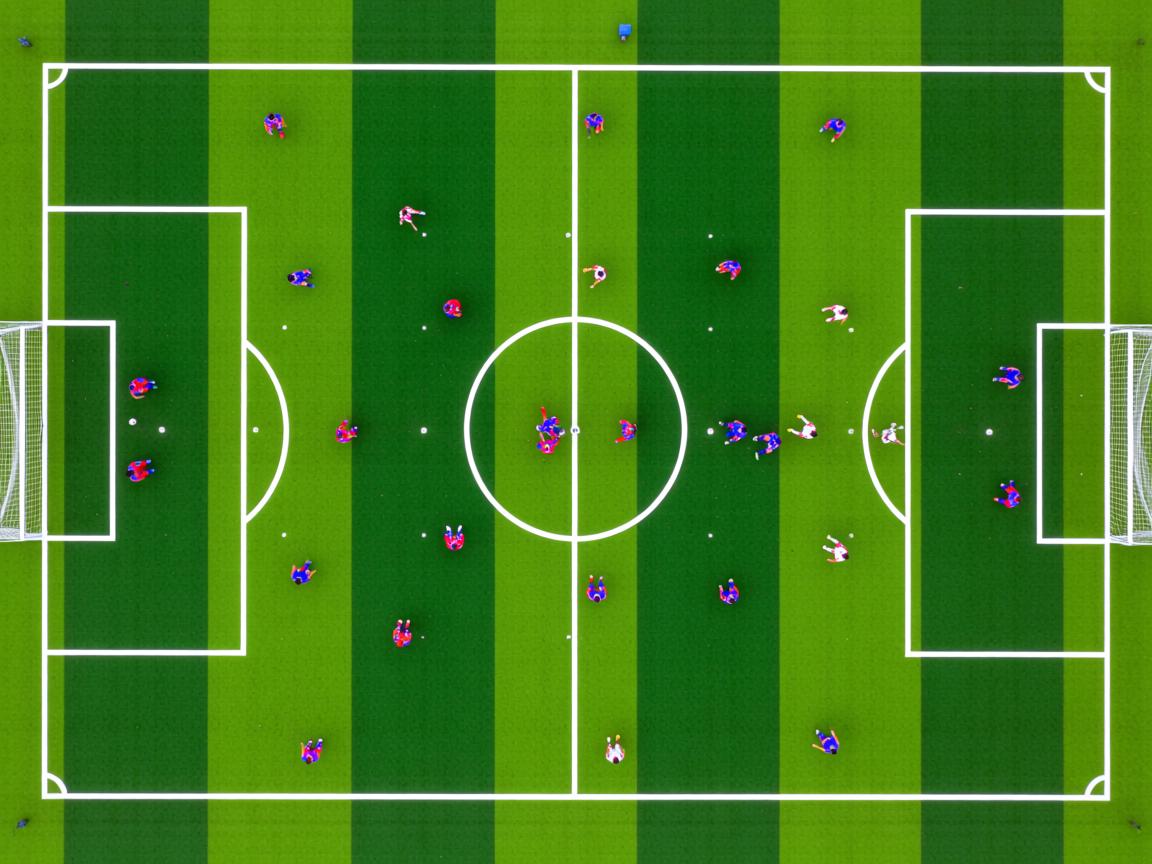 九游娱乐入口-女子仰泳美澳争霸 美国占先，澳大利亚女子仰泳